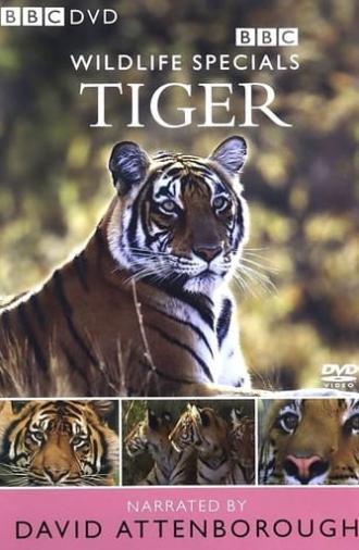 Tiger: The Elusive Princess (1999)