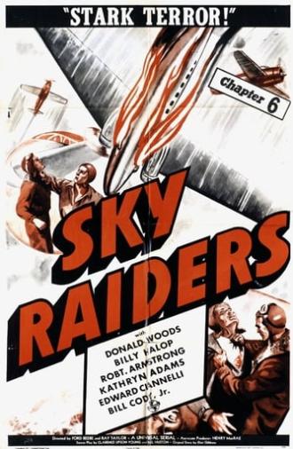 Sky Raiders (1941)