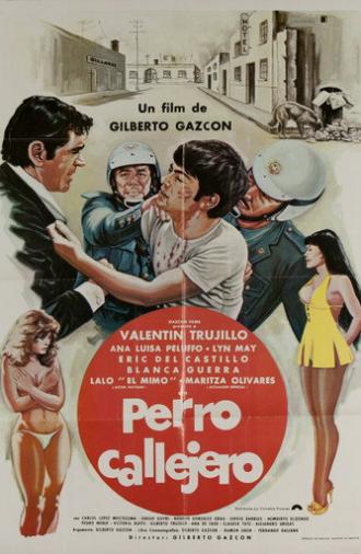 Perro callejero (1980)