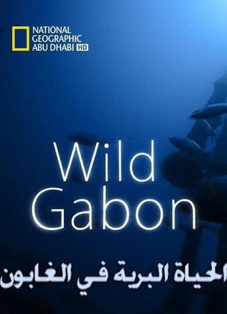 Wild Gabon (2014)