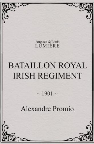 Bataillon Royal Irish Regiment (1901)