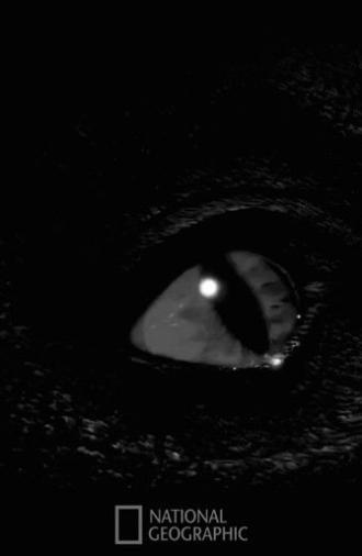 Prehistoric Monsters Revealed (2008)