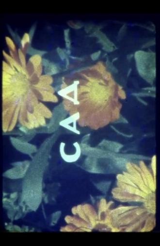 Colors of Summer (1970)