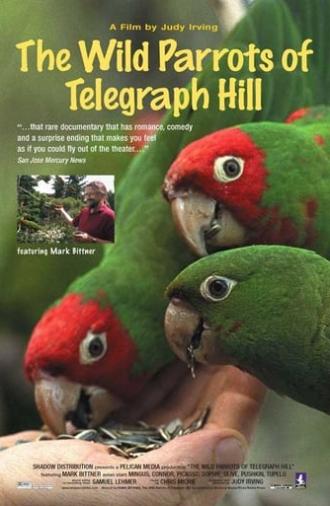 The Wild Parrots of Telegraph Hill (2003)