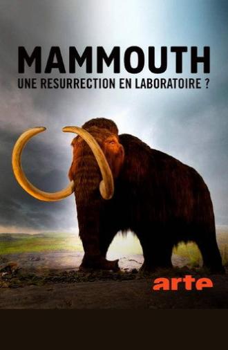 Ein Mammut-Projekt – Wiedergeburt ausgestorbener Arten (2024)