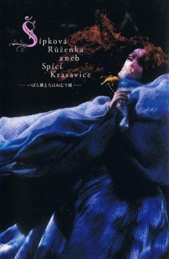 Briar-Rose or the Sleeping Beauty (1990)