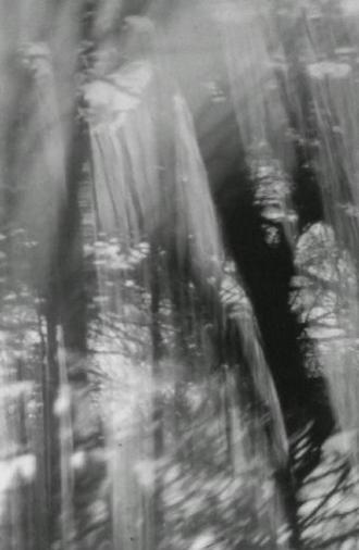 ULÍA #2 (2024)