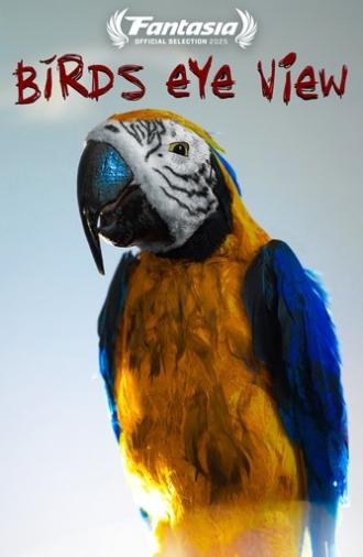 Bird's Eye View (2025)