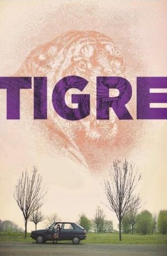 Tiger (2019)