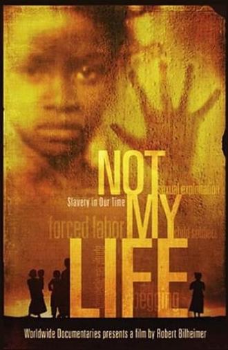 Not My Life (2011)