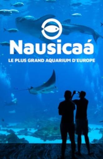 Nausicaa: The Largest Aquarium in Europe (2019)