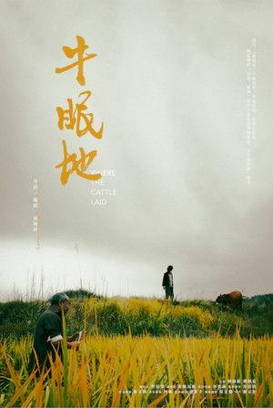 Where the Cattle Laid (2023)