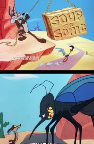 Soup or Sonic (1980)