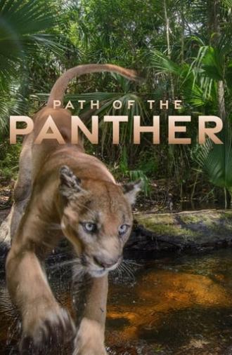 Path of the Panther (2022)