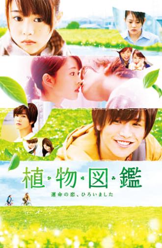 Evergreen Love (2016)