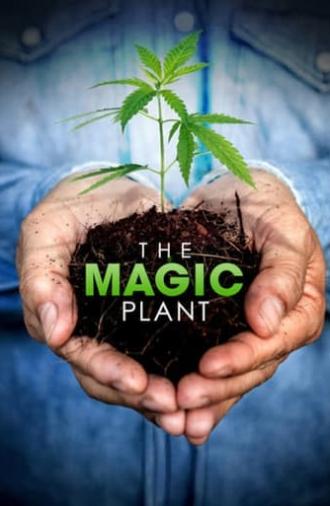 The Magic Plant (2020)