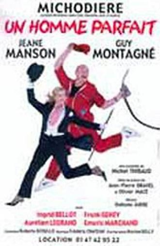 Un homme parfait (2003)