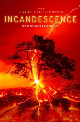 Incandescence (2024)