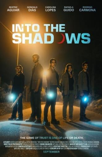 Into the Shadows (2024)