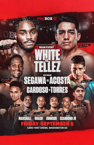 Jordan White vs. Rene Tellez Giron (2025)