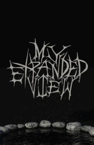 My Expanded View (2018)