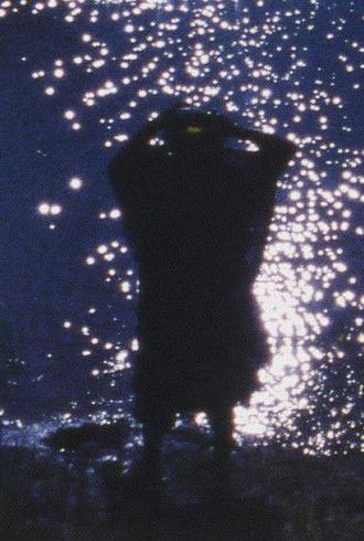 Woman with Flowers (2011)