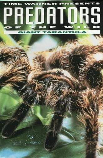 Predators of the Wild: Giant Tarantula (1993)