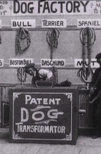 Dog Factory (1904)