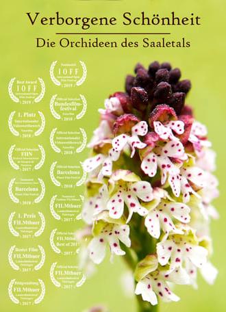 Hidden Beauty - The Orchids of the Saale Valley (2017)