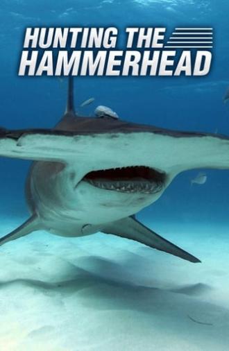 Hunting the Hammerhead (2016)