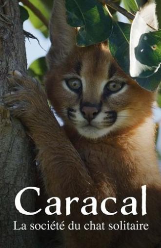 Caracal: The Lone Cat Society (2024)
