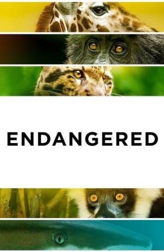 Endangered (2021)