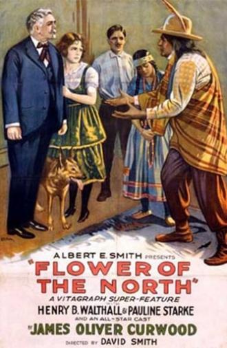 Flower of the North (1921)