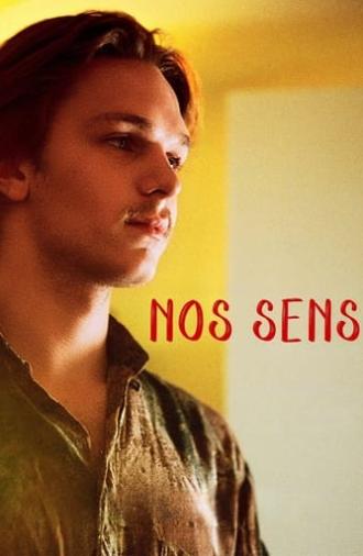 Our Senses (2024)