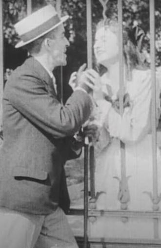 Love is Madness (1917)