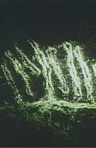 Electronic Processes - In Crystal and Living Organism (1964)