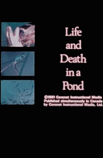 Life and Death in A Pond (1981)