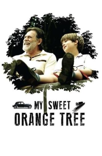 My Sweet Orange Tree (2013)