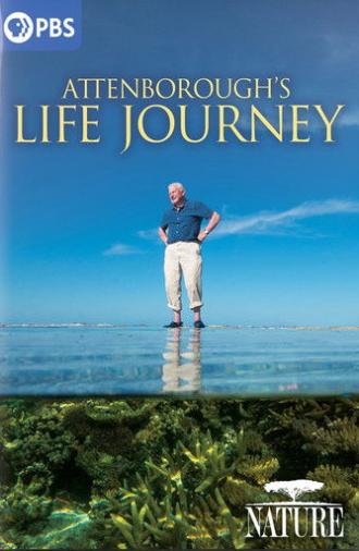 Attenborough's Life Journey (2024)
