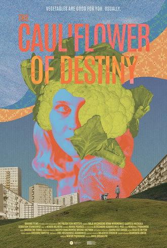 The Cauliflower of Destiny (2026)