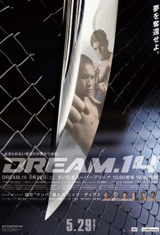 DREAM 14 (2010)