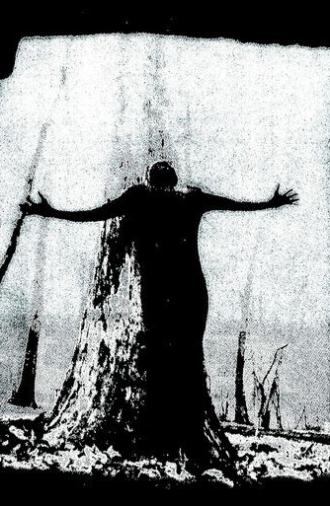 IIsandra In Ruin (2025)