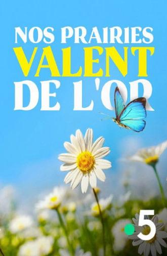 Nos prairies valent de l'or (2020)