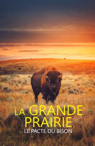 La grande prairie, le pacte du bison (2025)