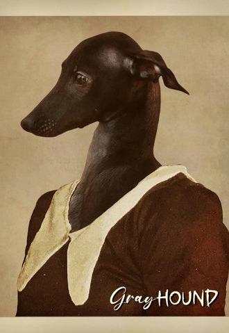 Gray Hound (2026)
