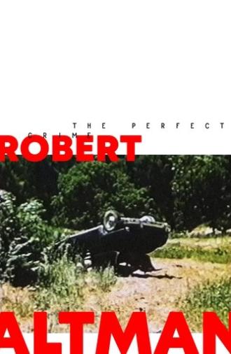 The Perfect Crime (1955)