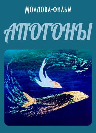 Cardinal Fish (1988)