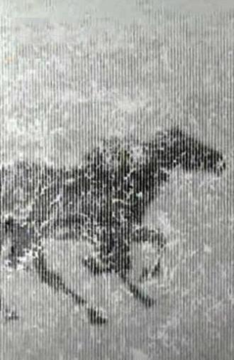 Spring 1999 (2000)