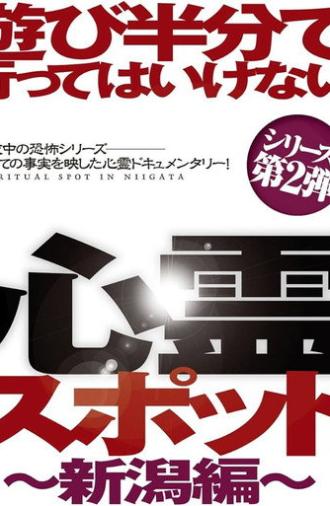 Asobi Hangun de Itte wa Ikenai Shinrei Supotto: Niigata-hen (2012)