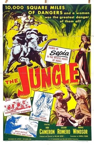 The Jungle (1952)